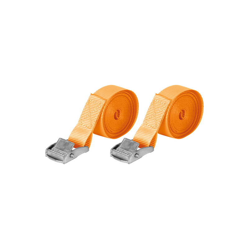 Carpoint Spanbanden 2 x 4,5 meter