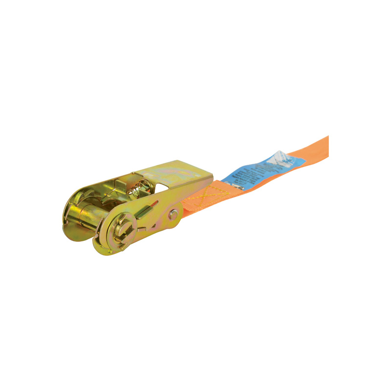 Carpoint Spanband met Ratel 5 Meter
