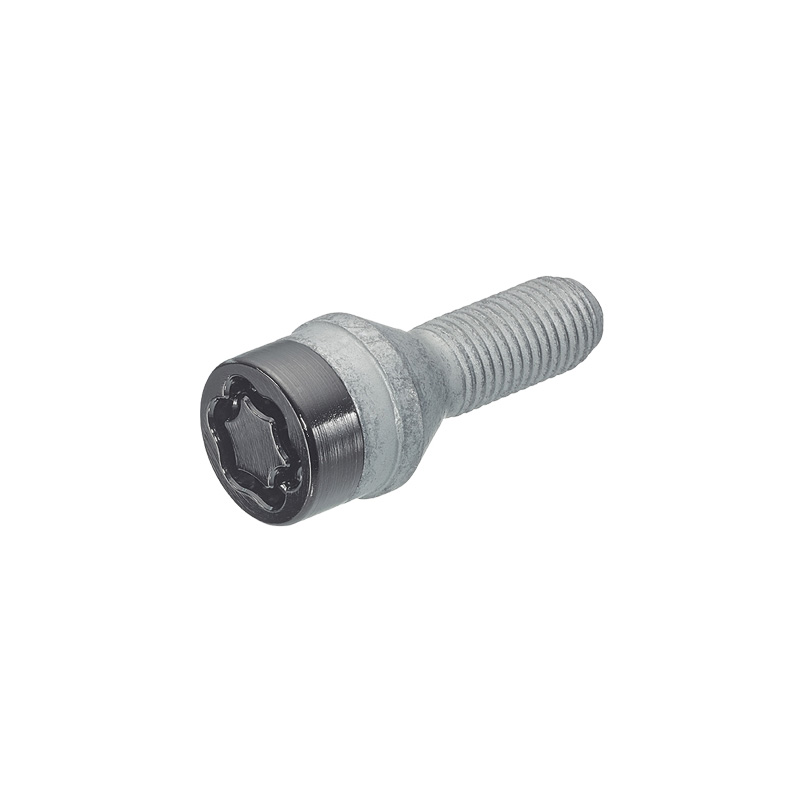 McGard Slotboutenset M14x1.50 Zwart - Konisch - Lengte 25mm (17mm kop)