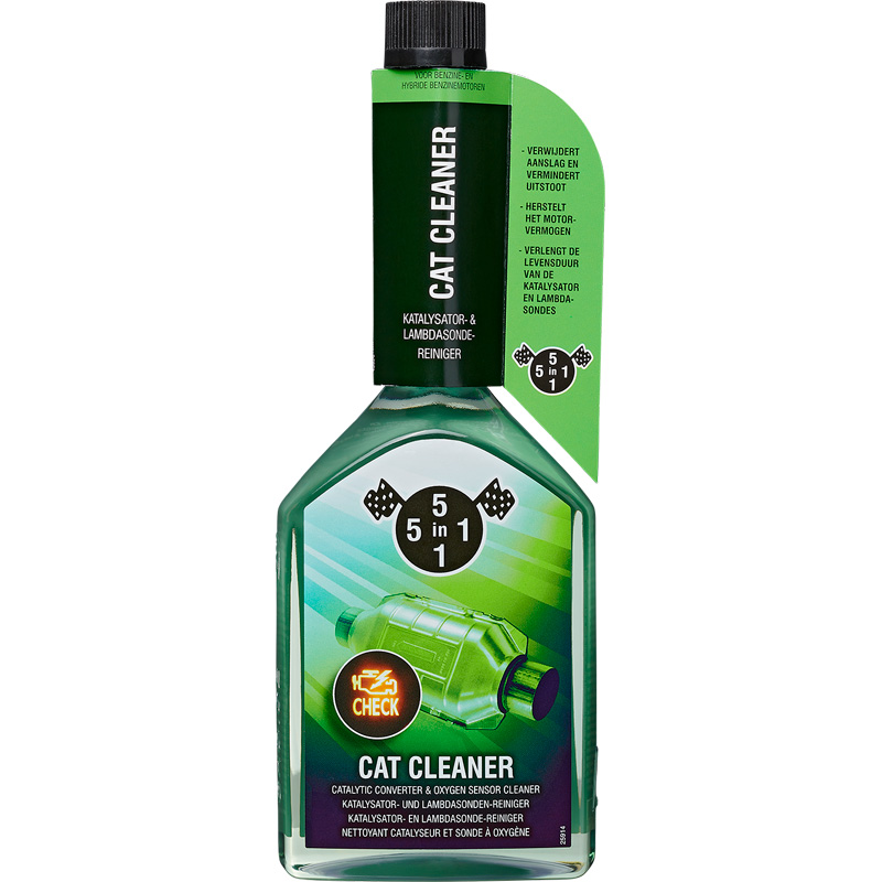 5in1 Katalysator reiniger 310ml